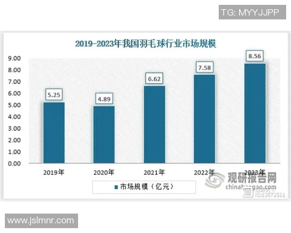 聚焦羽毛球运动发展杭州羽毛球队的意识与未来探索 聚焦羽毛球运动发展杭州羽毛球队的意识与未来探索