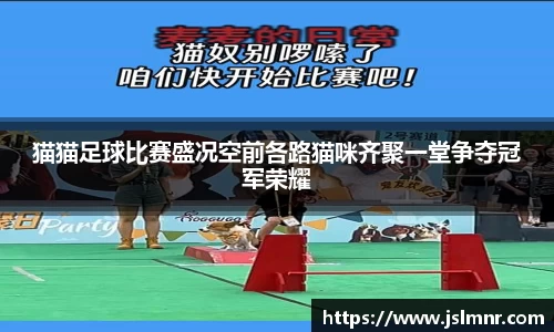 猫猫足球比赛盛况空前各路猫咪齐聚一堂争夺冠军荣耀