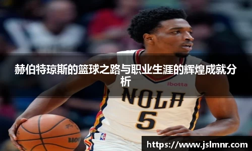 球速体育平台登录入口